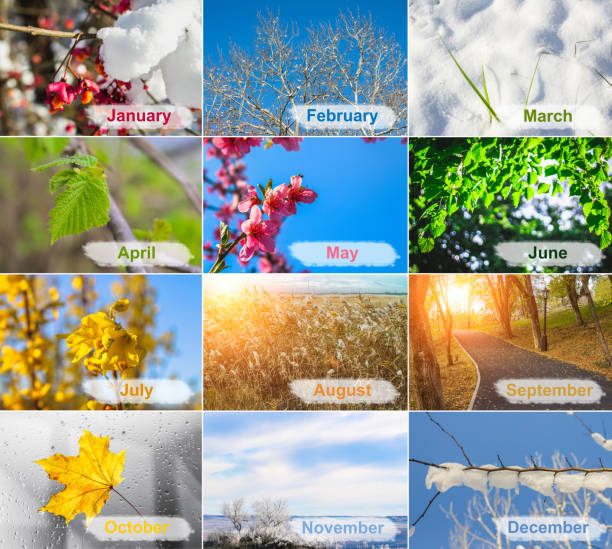 Seasonal and Temporal Trends