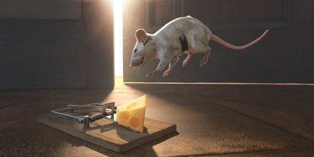 Tactical Intelligence Concept